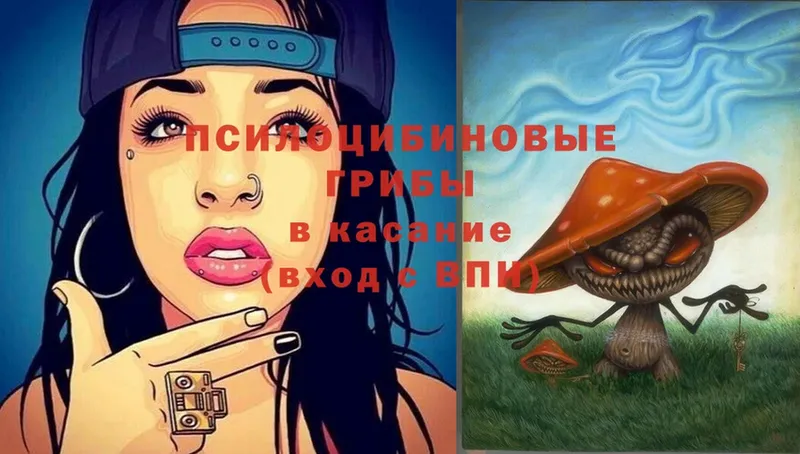 кракен онион  Красноуральск  Псилоцибиновые грибы Psilocybe 